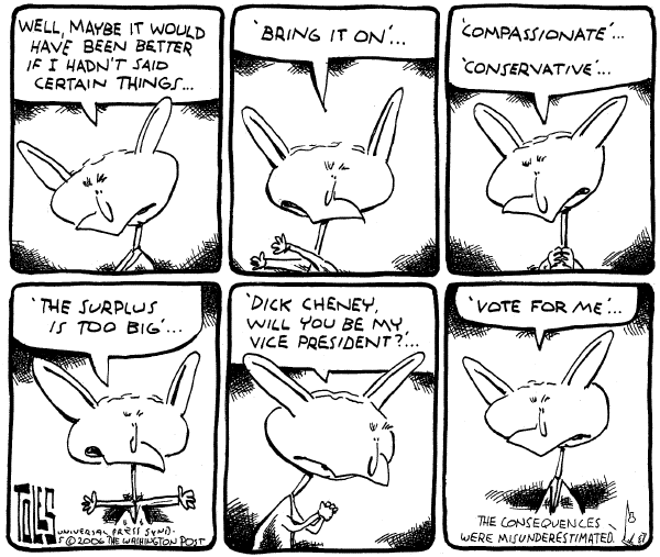Editorial Cartoon by Tom Toles, Washington Post on Candid Bush Speaks Out
