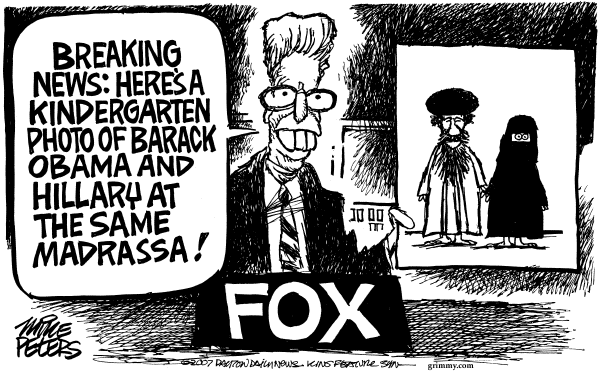 Editorial Cartoon by Mike Peters, Dayton Daily News on 2008 Presidential Race Underway