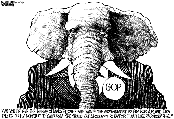 Editorial Cartoon by Drew Sheneman, Newark Star Ledger on Democrats Making Their Mark