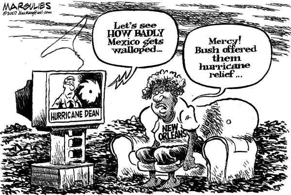 Editorial Cartoon by Jimmy Margulies, The Record, New Jersey on In Other News
