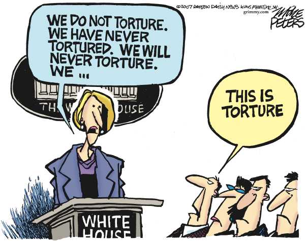 Editorial Cartoon by Mike Peters, Dayton Daily News on White House: US Does Not Torture