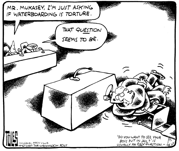 Editorial Cartoon by Tom Toles, Washington Post on Torture Difficult for US to Define