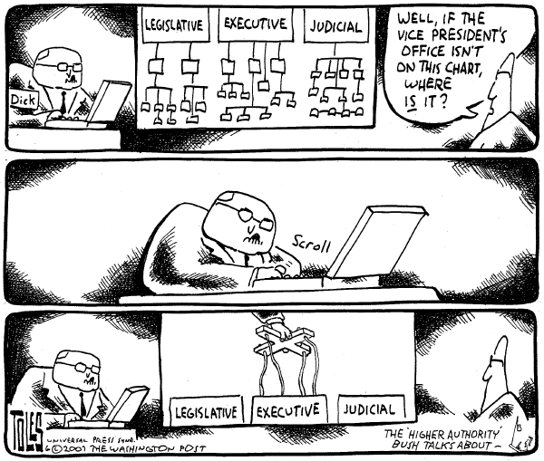 Editorial Cartoon by Tom Toles, Washington Post on Cheney: VP Its Own Branch of Government