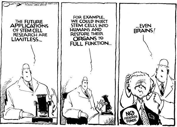 Editorial Cartoon by Jack Ohman, The Oregonian on Bush Vetoes Stem Cell Bill