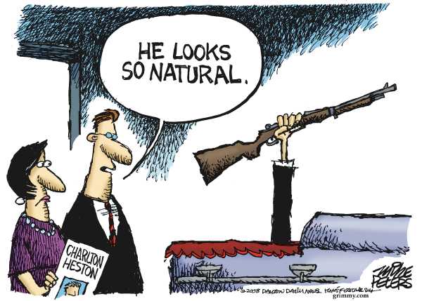 Editorial Cartoon by Mike Peters, Dayton Daily News on In Other News