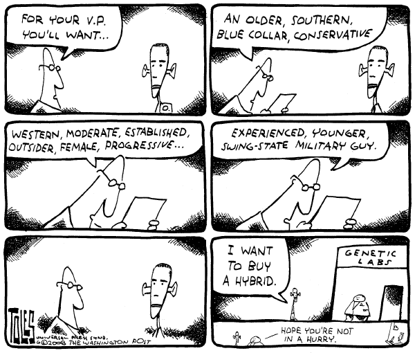 Editorial Cartoon by Tom Toles, Washington Post on Clinton Endorses Obama