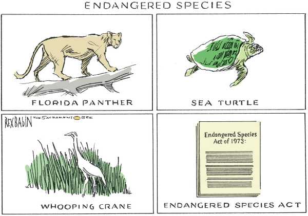 Editorial Cartoon by Rex Babin, Sacramento Bee on In Other News