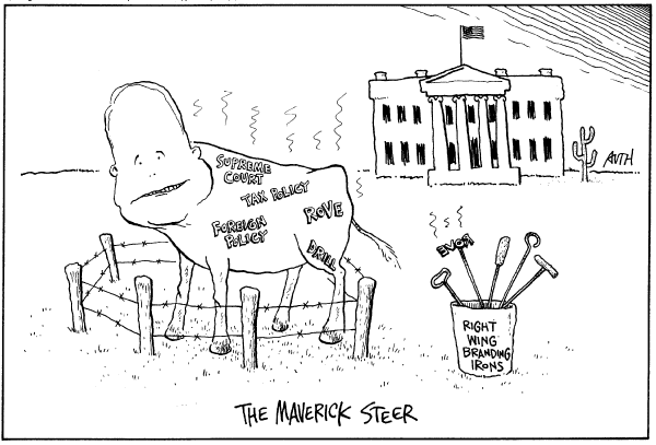 Editorial Cartoon by Tony Auth, Philadelphia Inquirer on McCain Launches New Campaign Theme
