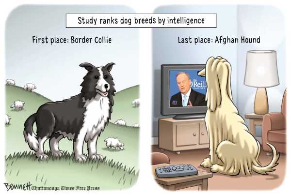 Political/Editorial Cartoon by RJ Matson, Cagle Cartoons on In Other News