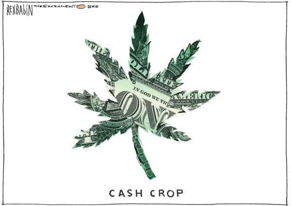 Political/Editorial Cartoon by Rex Babin, Sacramento Bee on In Other News