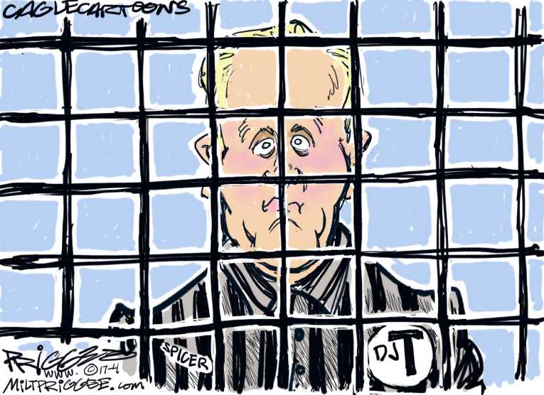 Political/Editorial Cartoon by Milt Priggee, www.miltpriggee.com on Spicer Offers Final Solution