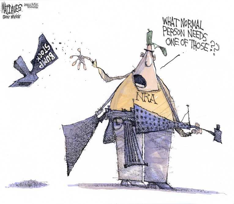 Political/Editorial Cartoon by Matt Davies, Journal News on Shooting Sparks Debate