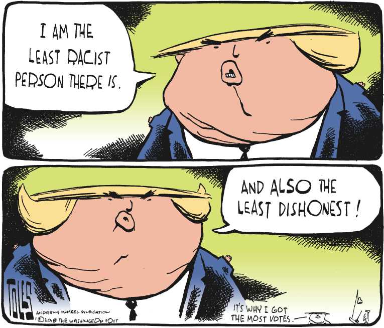 Political/Editorial Cartoon by Tom Toles, Washington Post on President Denies Racism Charges