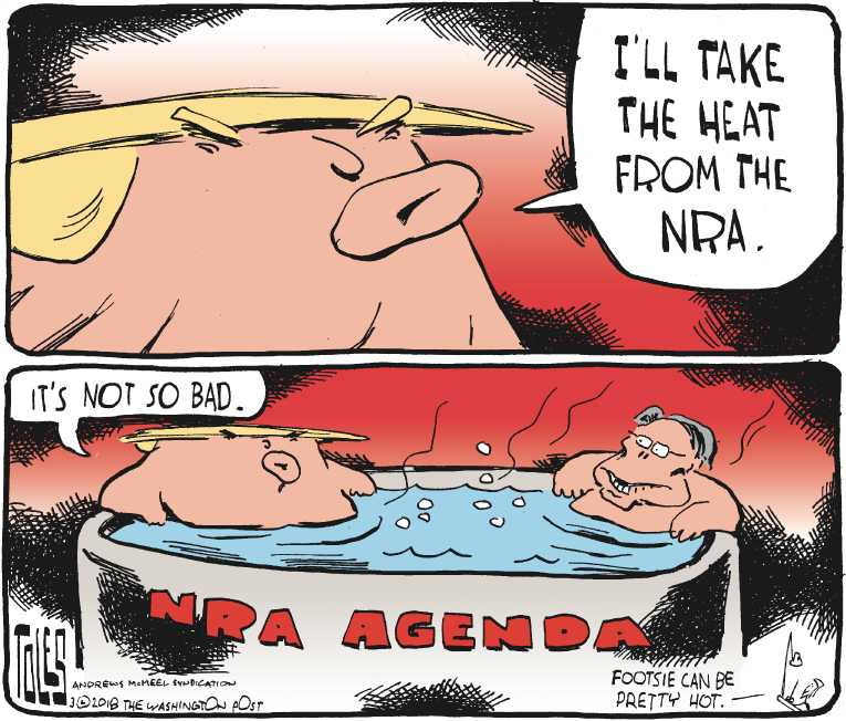 Political/Editorial Cartoon by Tom Toles, Washington Post on Trump Makes Gun Position Clear