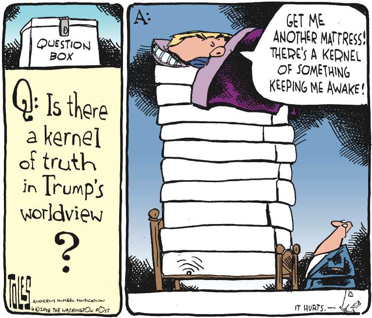 Political/Editorial Cartoon by Tom Toles, Washington Post on Trump’s Vision Taking Shape