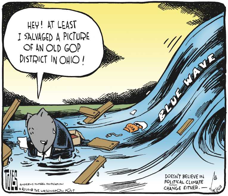 Political/Editorial Cartoon by Tom Toles, Washington Post on GOP Fearing Blue Wave