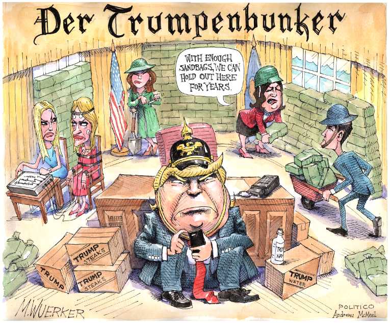 Political/Editorial Cartoon by Matt Wuerker, Politico on Trump Goes to the Mat
