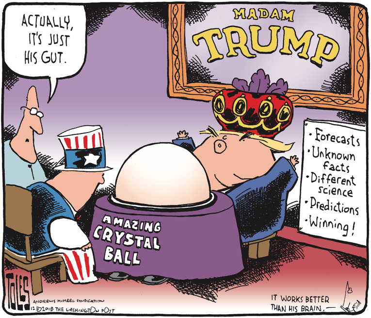 Political/Editorial Cartoon by Tom Toles, Washington Post on Trump Trusts Gut