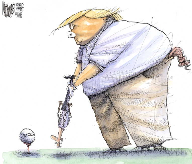 Political/Editorial Cartoon by Matt Davies, Journal News on Trump Firm on Wall