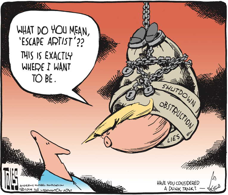 Political/Editorial Cartoon by Tom Toles, Washington Post on President Blasts “Witch Hunt”