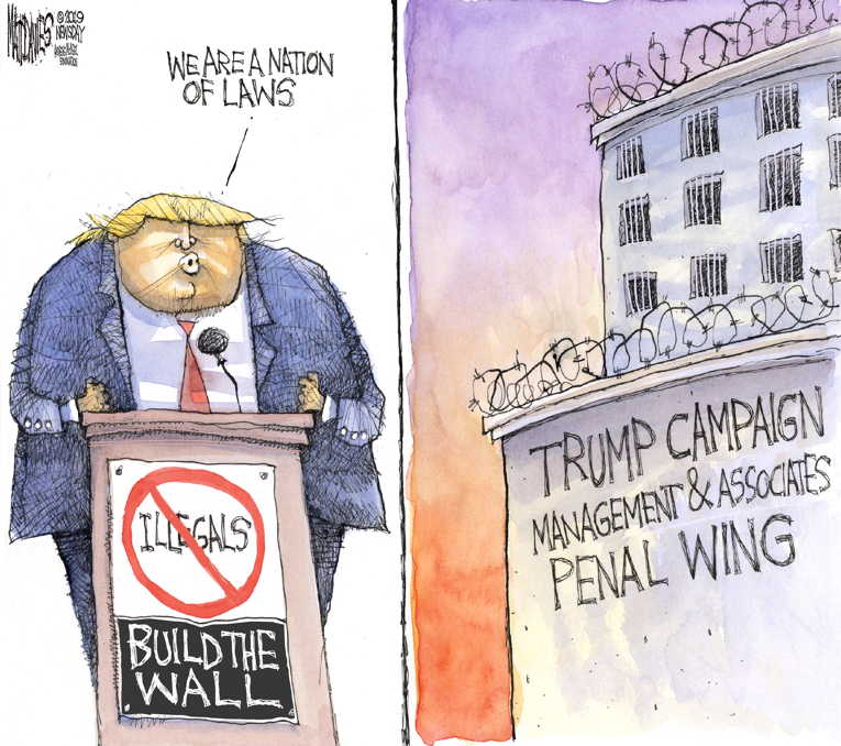 Political/Editorial Cartoon by Matt Davies, Journal News on President Demands Wall