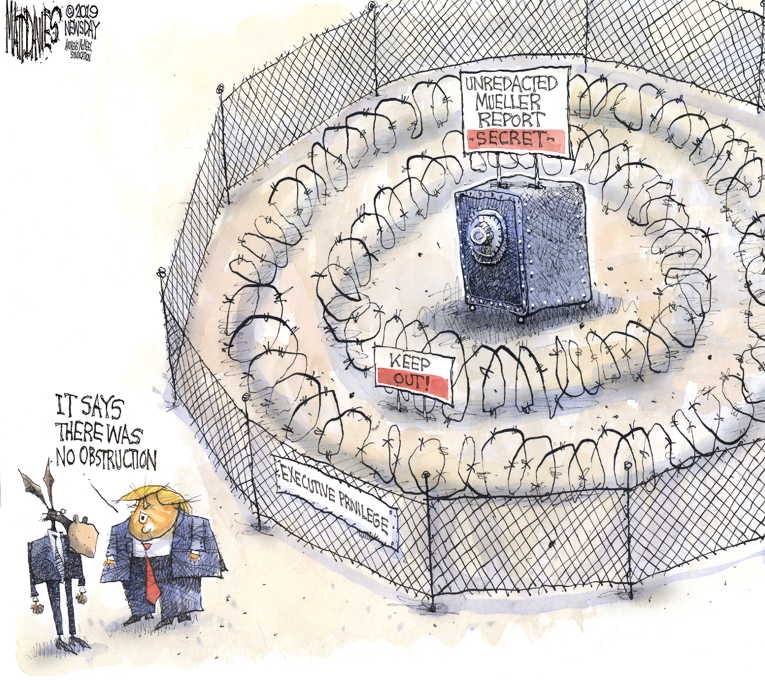 Political/Editorial Cartoon by Matt Davies, Journal News on President Eyes 2020 Election