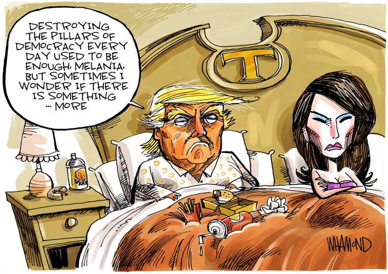 Political/Editorial Cartoon by Dave Whamond, Canada, PoliticalCartoons.com on President Eyes 2020 Election