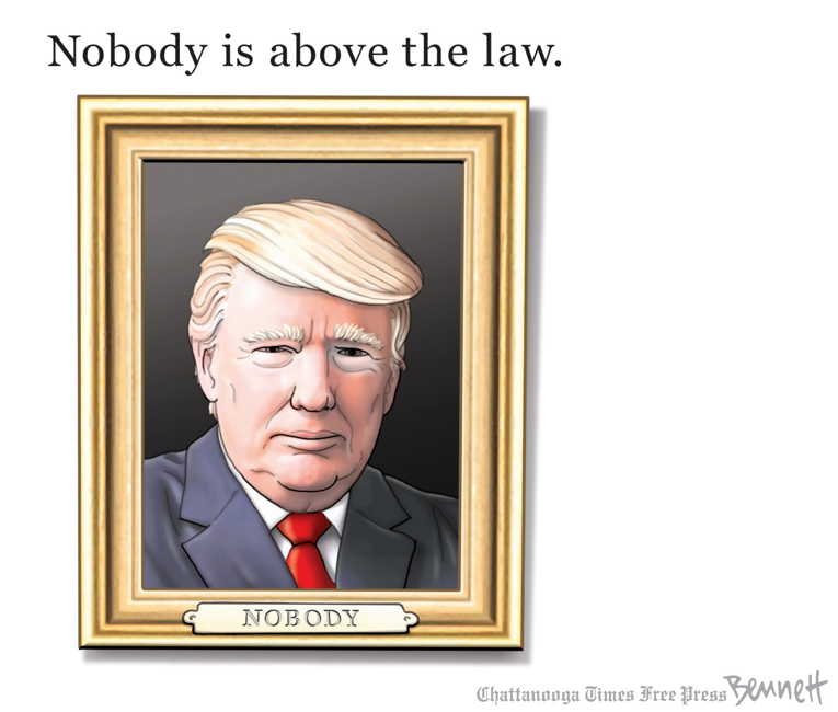 Political/Editorial Cartoon by Clay Bennett, Chattanooga Times Free Press on President Cites Article II