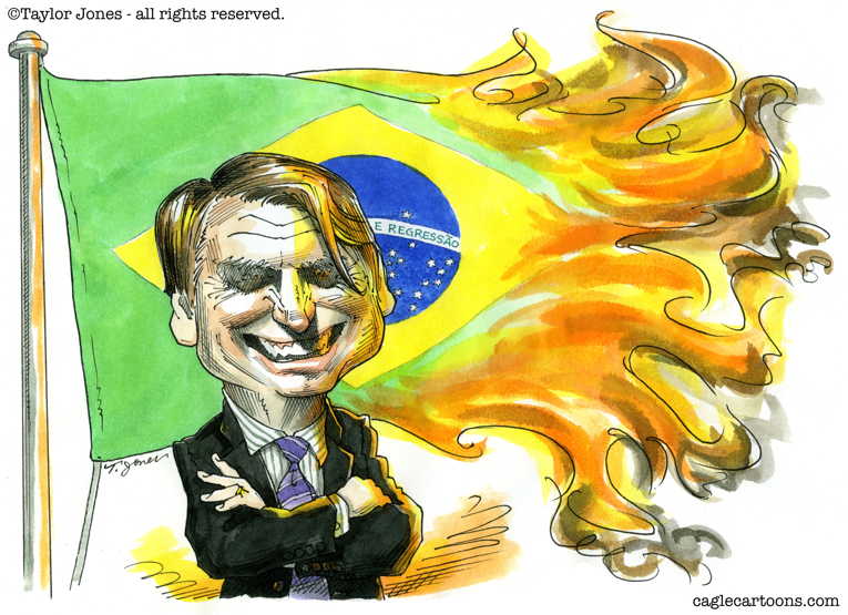 Political/Editorial Cartoon by Taylor Jones, Tribune Media Services on Amazon Rainforest Burning