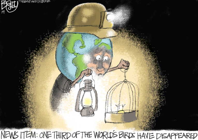 Political/Editorial Cartoon by Pat Bagley, Salt Lake Tribune on Mass Extinction Accelerating