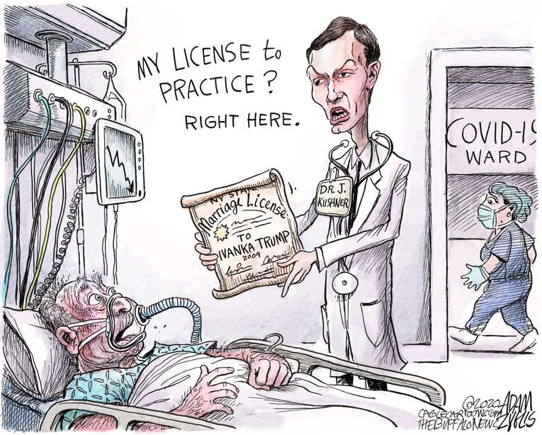 Political/Editorial Cartoon by Adam Zyglis, The Buffalo News on Kushner Advocates Tough Love