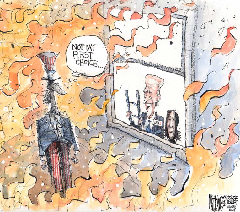 Political/Editorial Cartoon by Matt Davies, Journal News on Democrats Blast Trump’s America