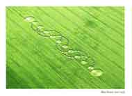 Crop Circle card