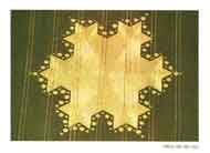 Crop Circle card