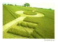 Crop Circle card