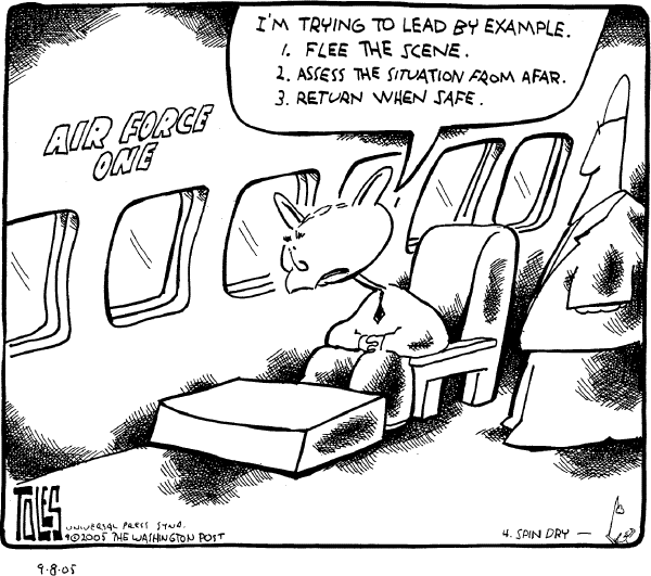 Political cartoon on Bush Responds to Katrina by Tom Toles, Washington Post