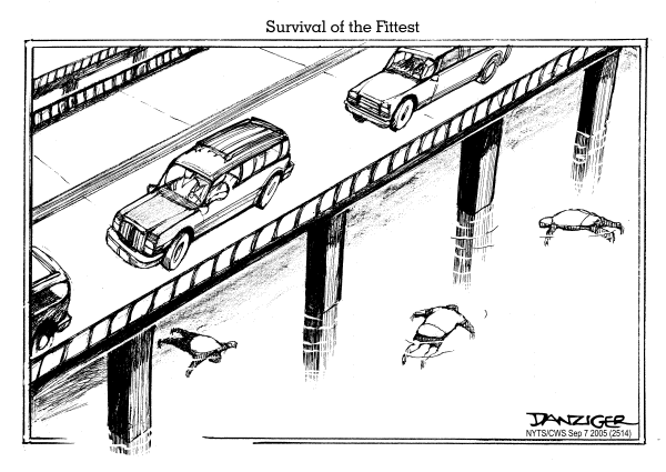 Political cartoon on Hurricane Katrina's Toll High by Jeff Danziger, Cartoonists & Writers Syndicate