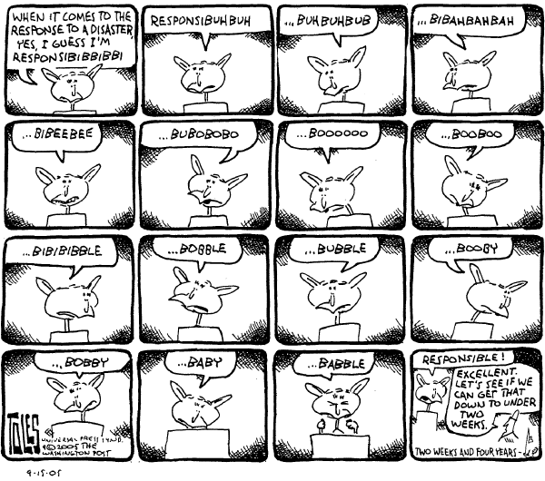 Political cartoon on Bush Accepts Responsibility by Tom Toles, Washington Post