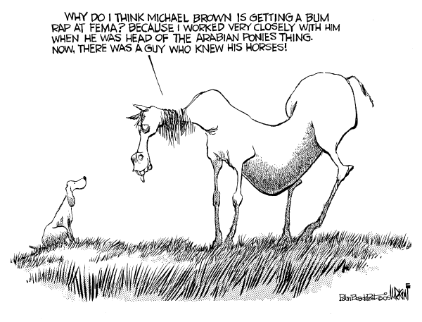 Political cartoon on Katrina Response Questioned by Don Wright, Palm Beach Post