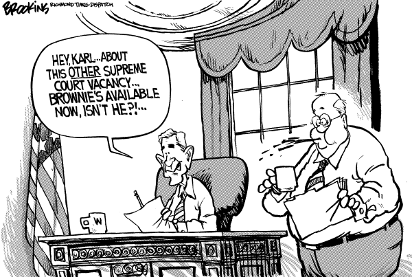 Political cartoon on In Other News by Brookins