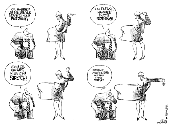 Political cartoon on Miers Nomination in Trouble by Don Wright, Palm Beach Post