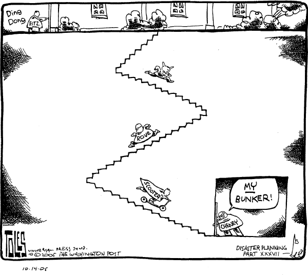Political cartoon on Investigation Targets White House by Tom Toles, Washington Post