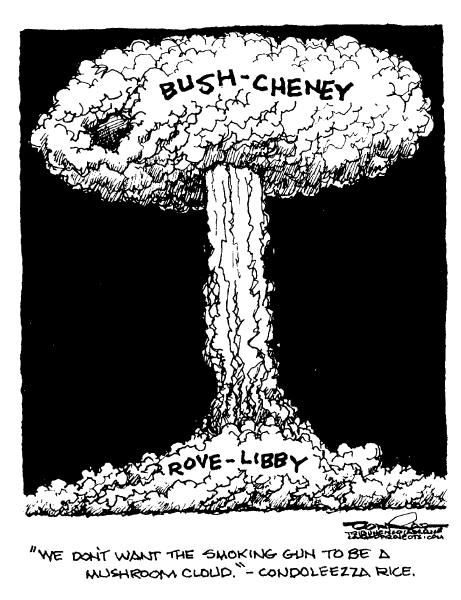 Political cartoon on Investigation Targets White House by Paul Conrad, Tribune Media Services