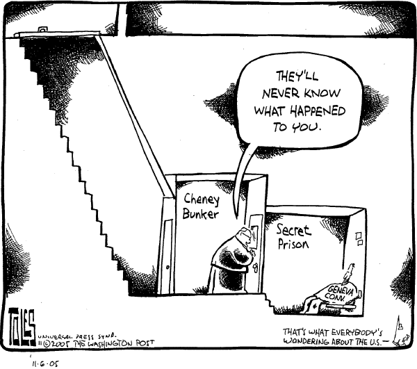 Political cartoon on Cheney Opposes Torture Ban by Tom Toles, Washington Post