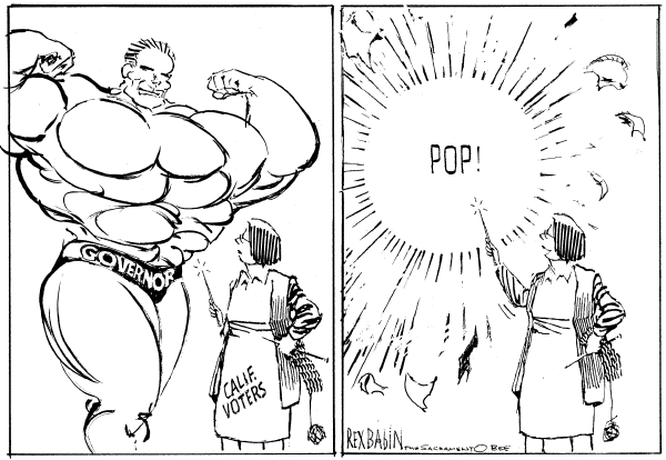 Political cartoon on Election Results by Rex Babin, Sacramento Bee