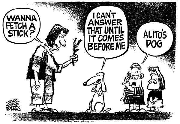 Political cartoon on In Other News by Mike Peters, Dayton Daily News