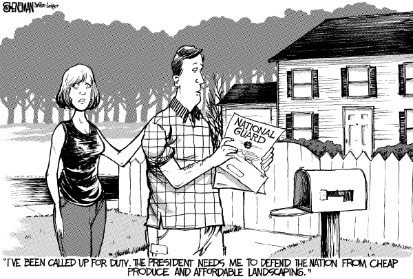 Editorial Cartoon by Drew Sheneman, Newark Star Ledger on National Guard Deployed to Border