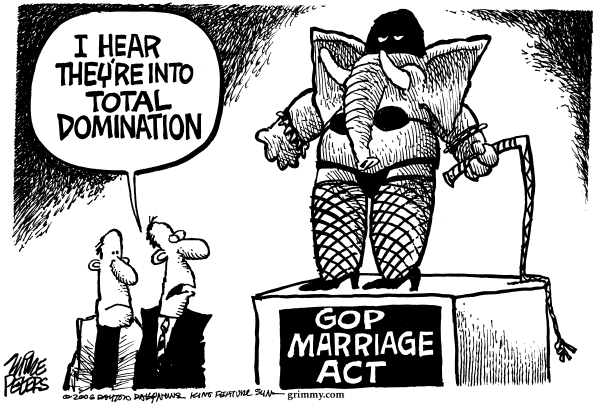 Editorial Cartoon by Mike Peters, Dayton Daily News on Elections to Be a Gay Affair