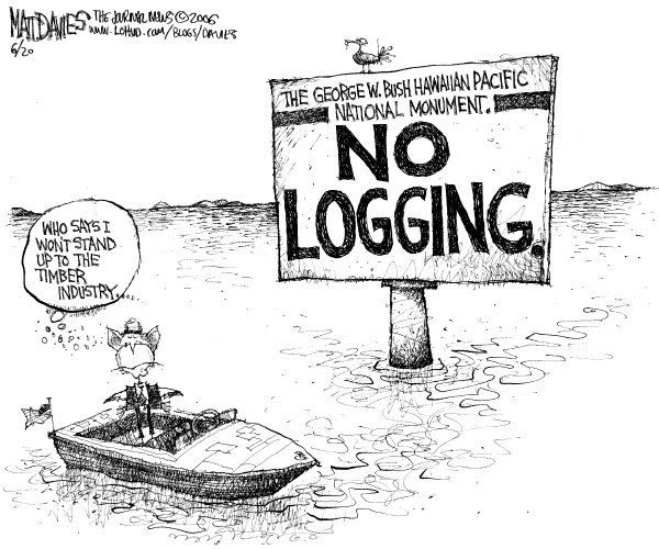 Editorial Cartoon by Matt Davies, Journal News on Big Developments Regarding Wetlands