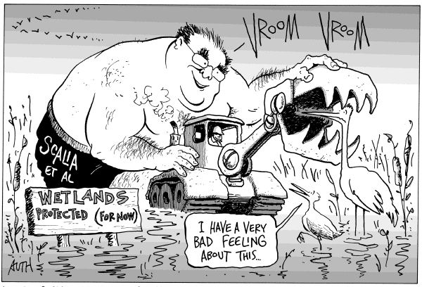 Editorial Cartoon by Tony Auth, Philadelphia Inquirer on Big Developments Regarding Wetlands